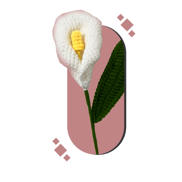 Calla Lily - Knot The Wool