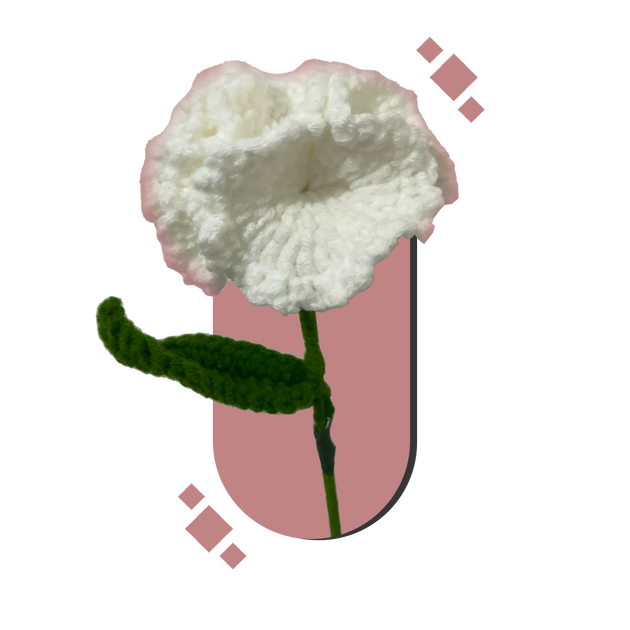 Carnation - Knot The Wool